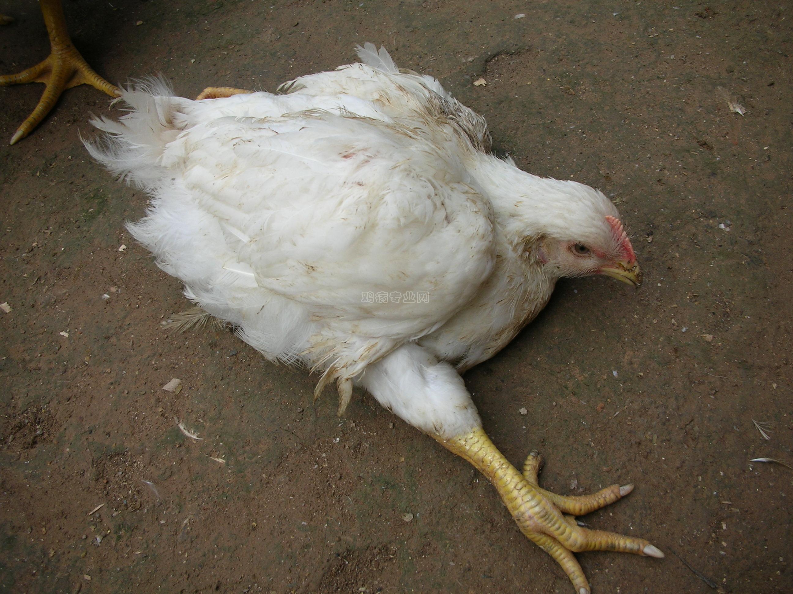 DSCN2364.JPG