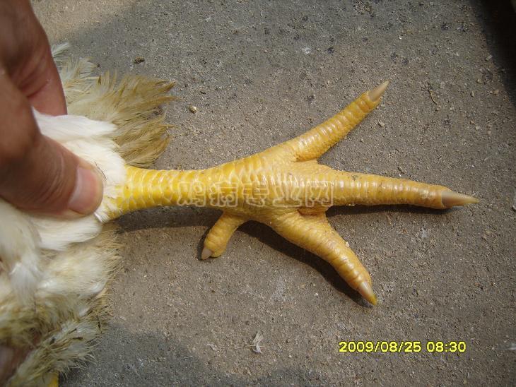 SS101829.JPG