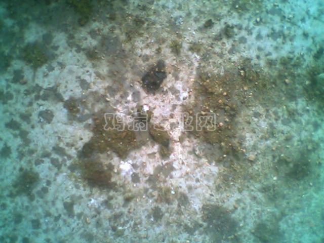 PH0501010000-030.jpg