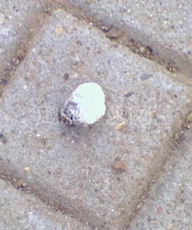 0824_1732.JPG
