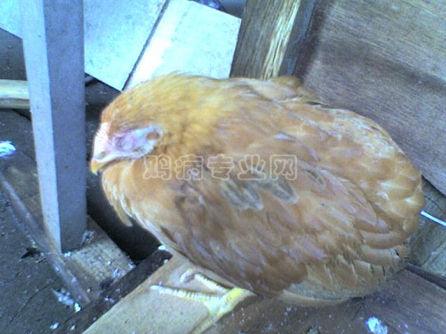 19-08-09_0808.JPG