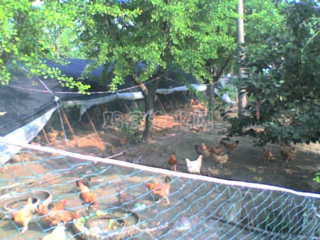 19-08-09_0828.jpg