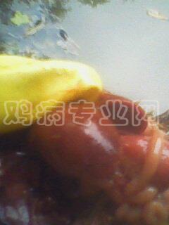 IMG0041A.jpg