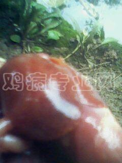 IMG0044A.jpg