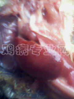 IMG0039A.jpg