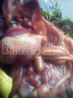 IMG0042A.jpg