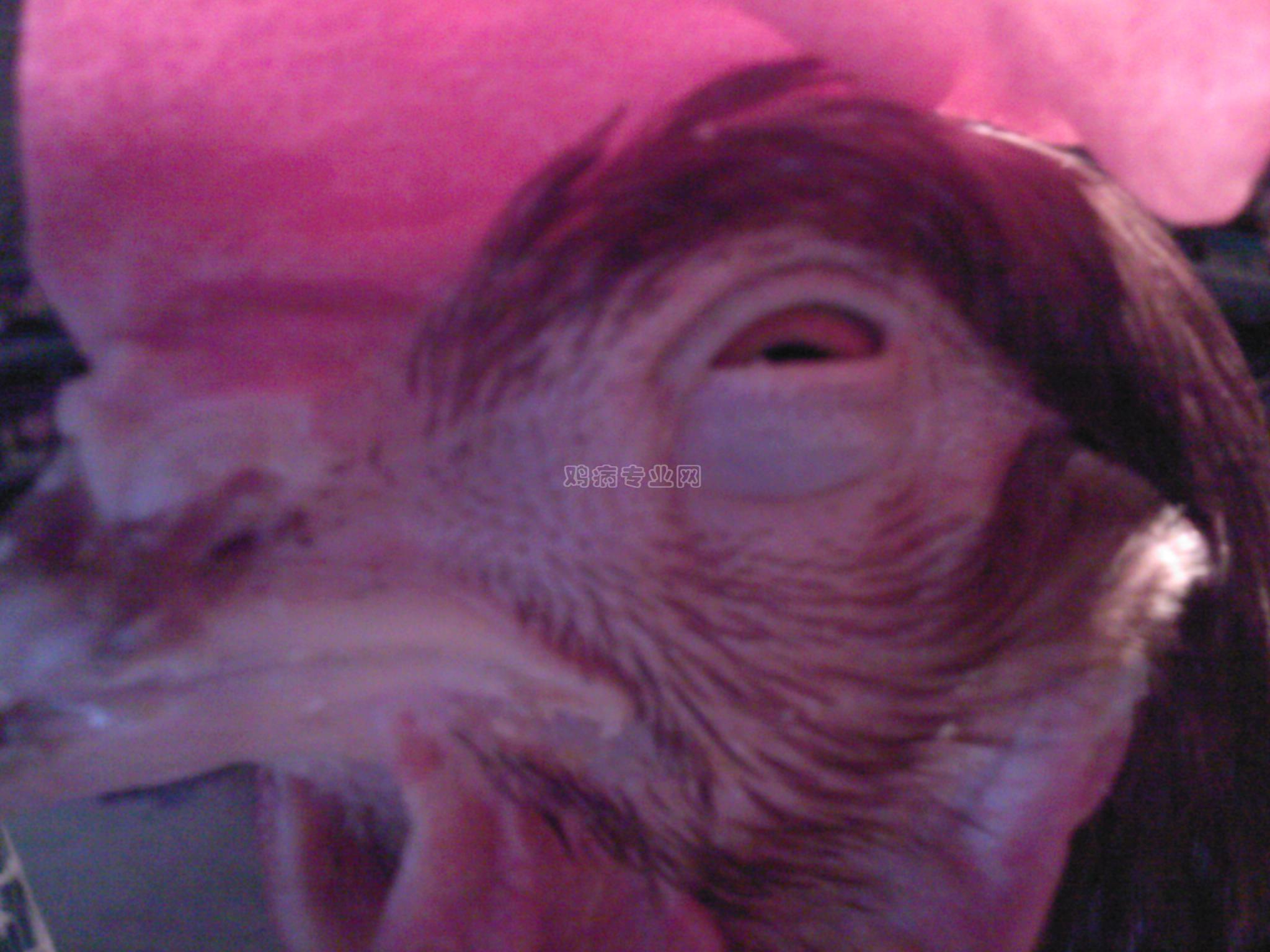 20091025155500.jpg