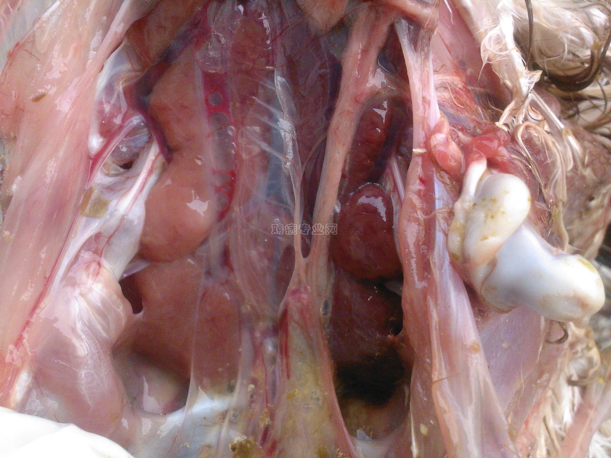 20091028081014.jpg