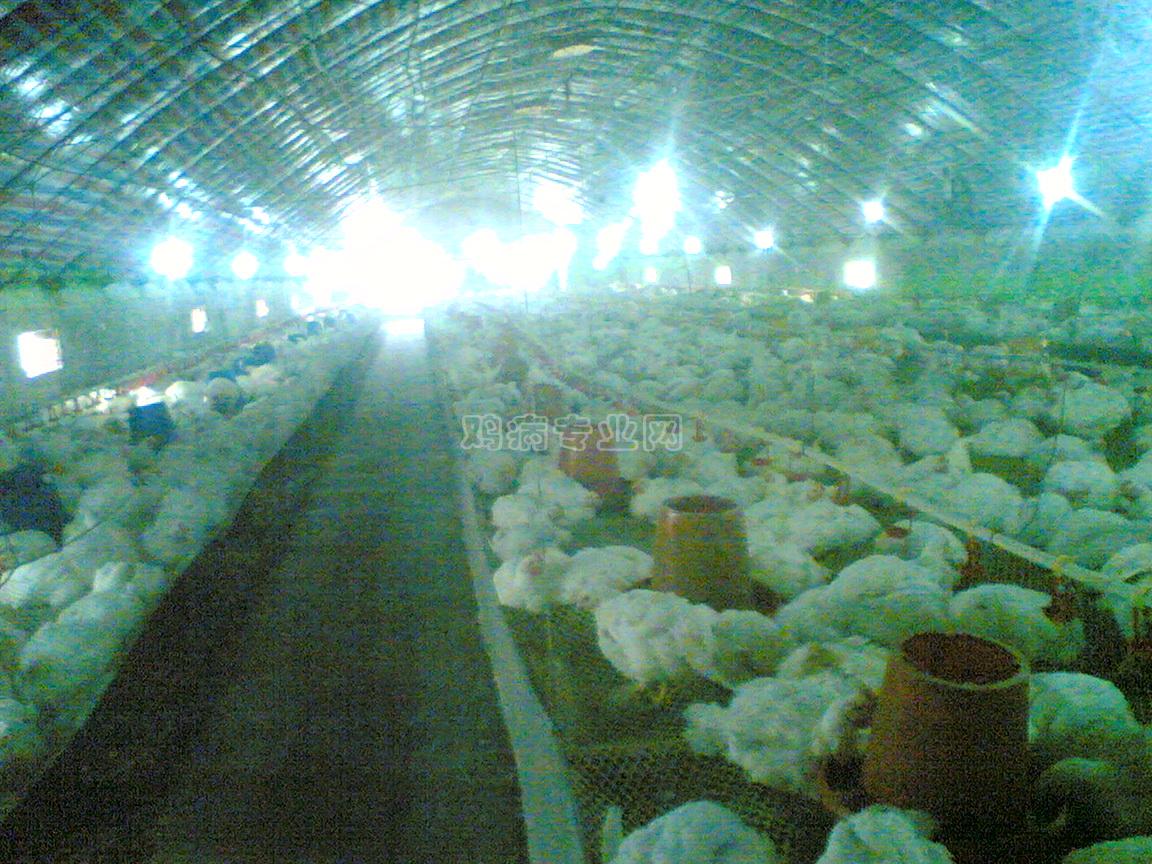 Image(201).jpg