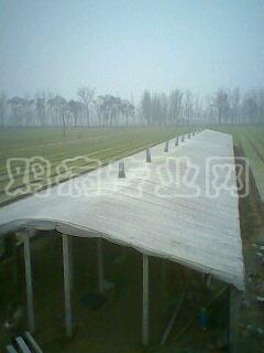 IMG0052A.jpg