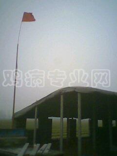 IMG0051A.jpg