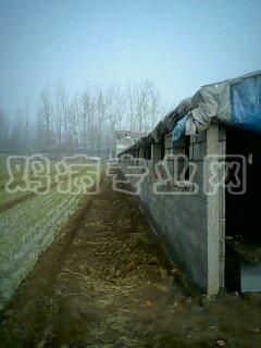 IMG0042A.jpg