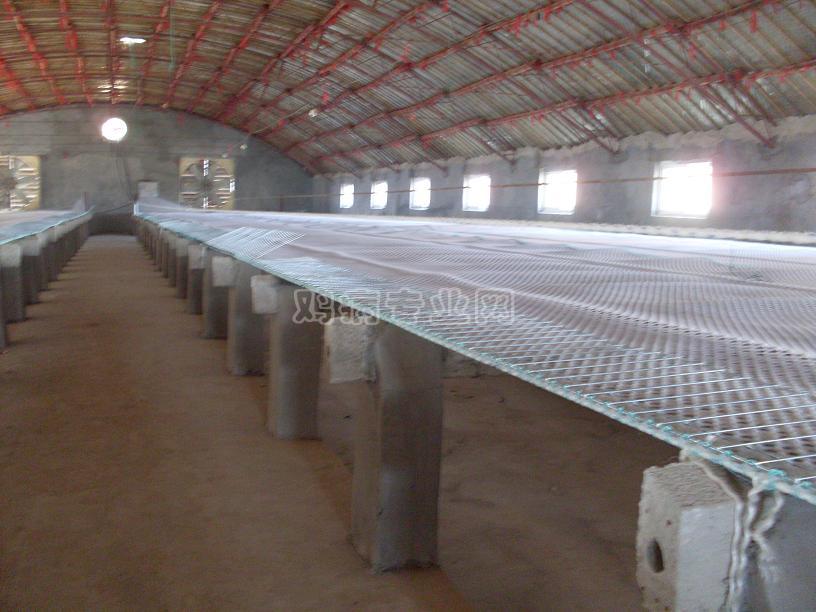 SDC10239.JPG