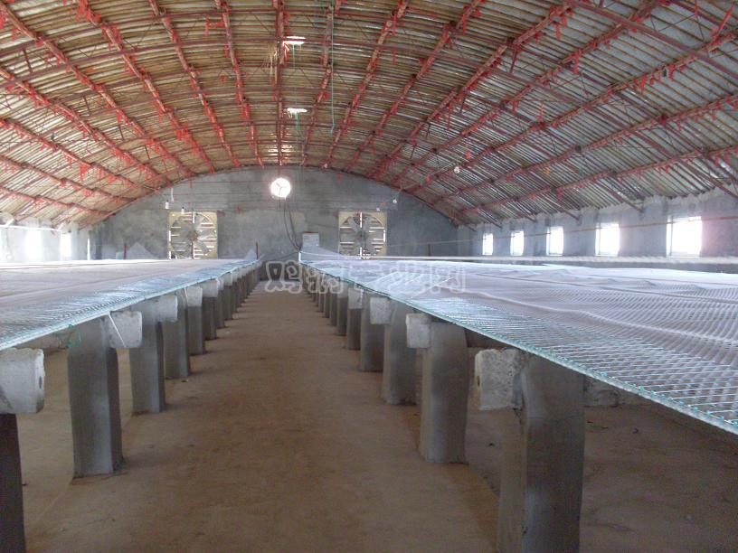SDC10240.JPG