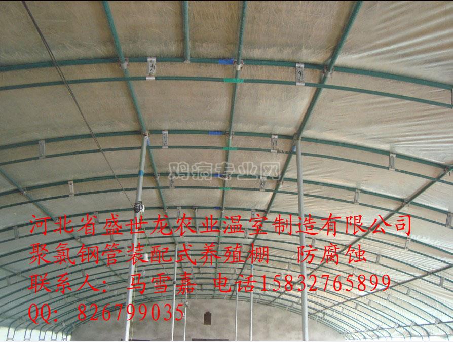ֳ (29).jpg