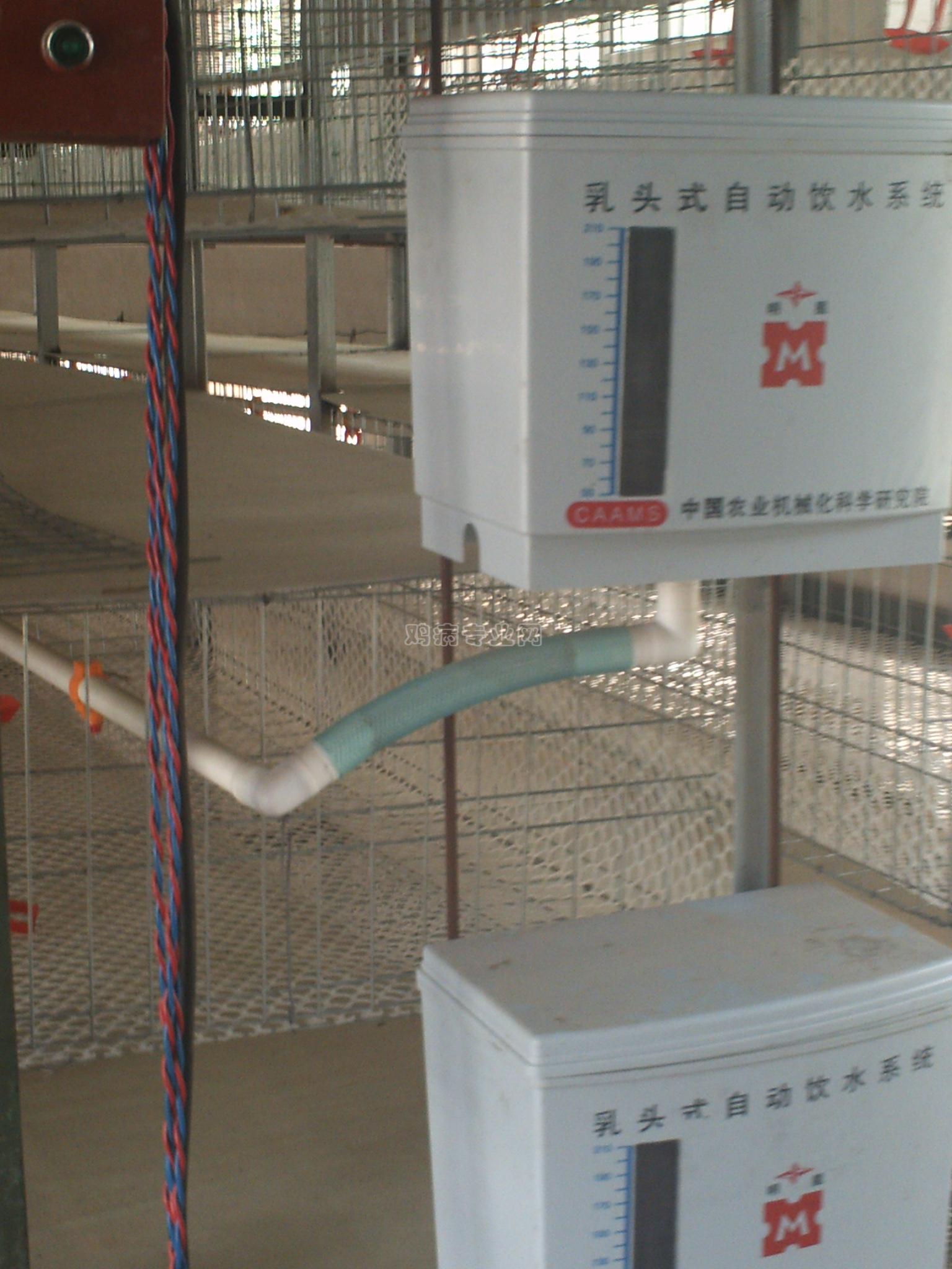 PICT0495.JPG
