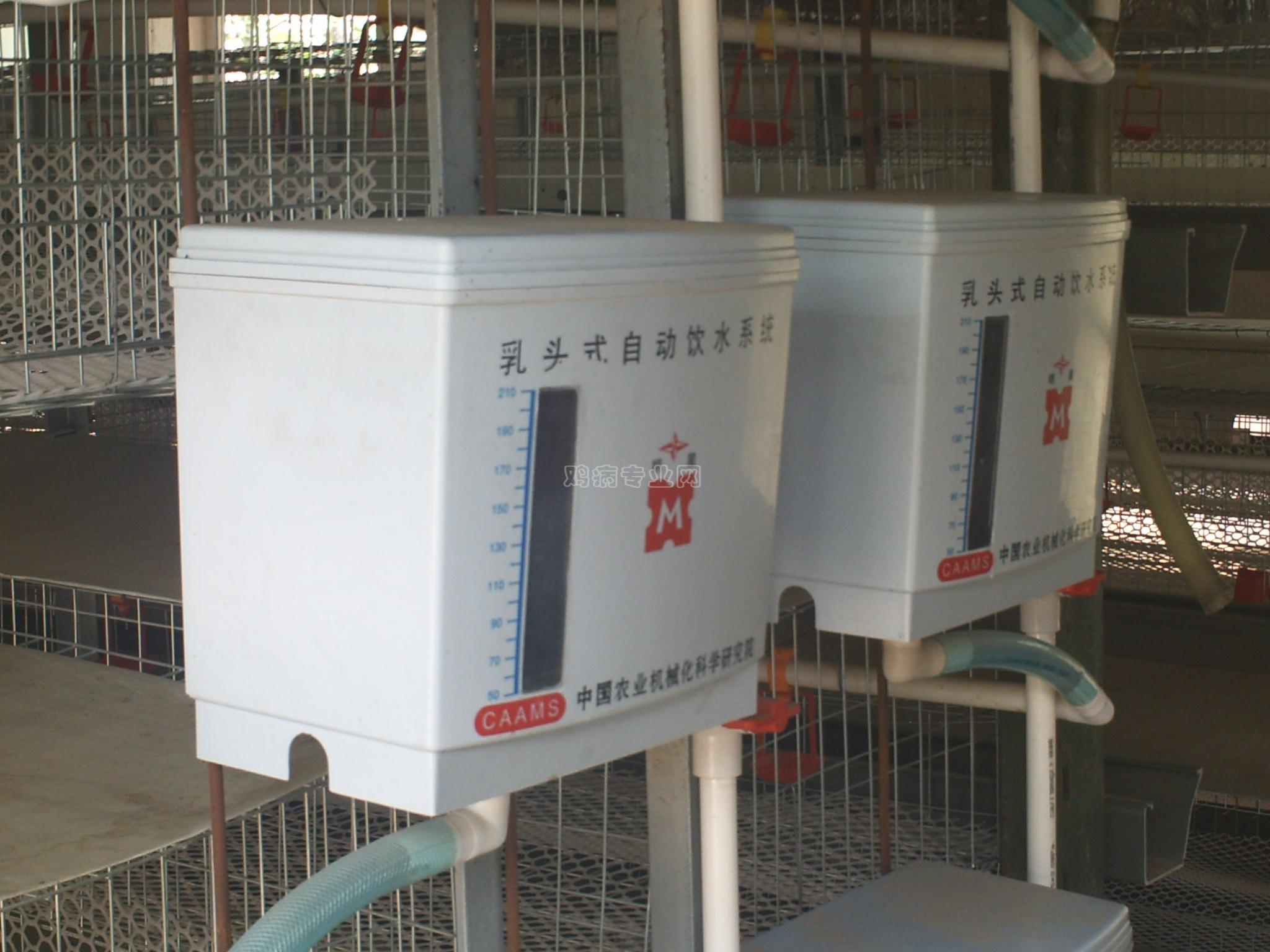 PICT0493.JPG