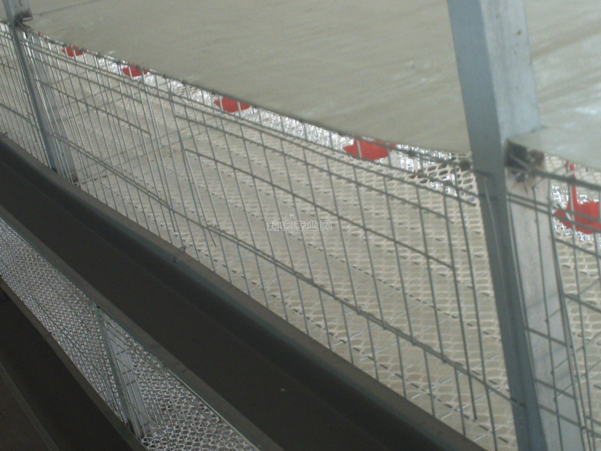 PICT0492.JPG