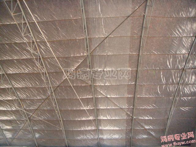 92_52972_cd2585db424ba18.jpg