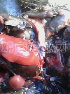 IMG0033A.jpg