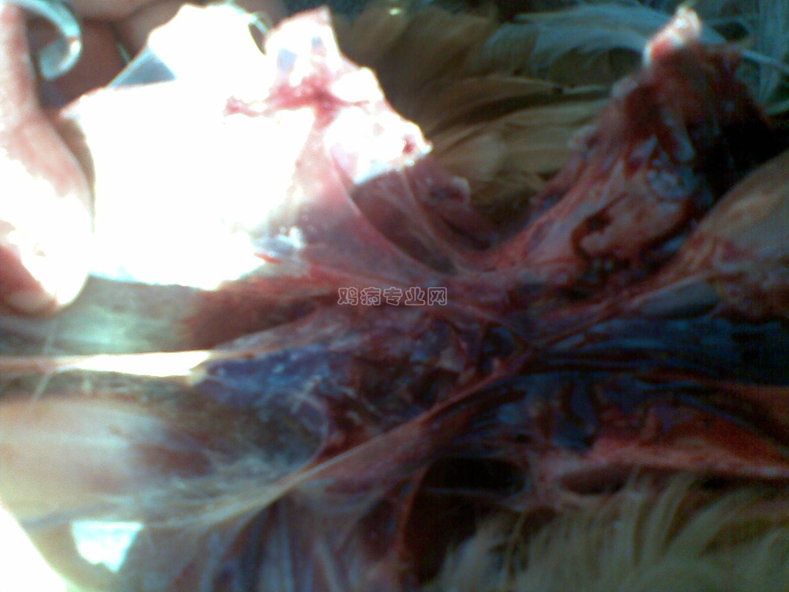 20091220_001.jpg