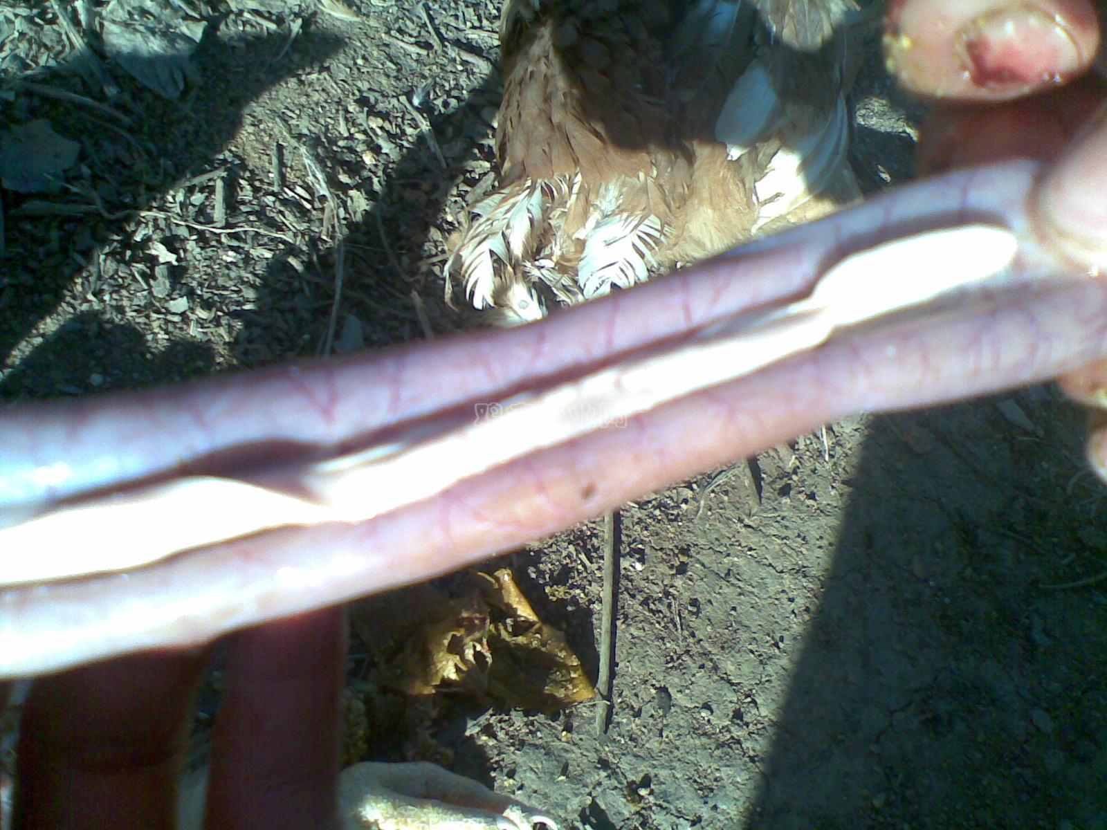 20091220_004.jpg