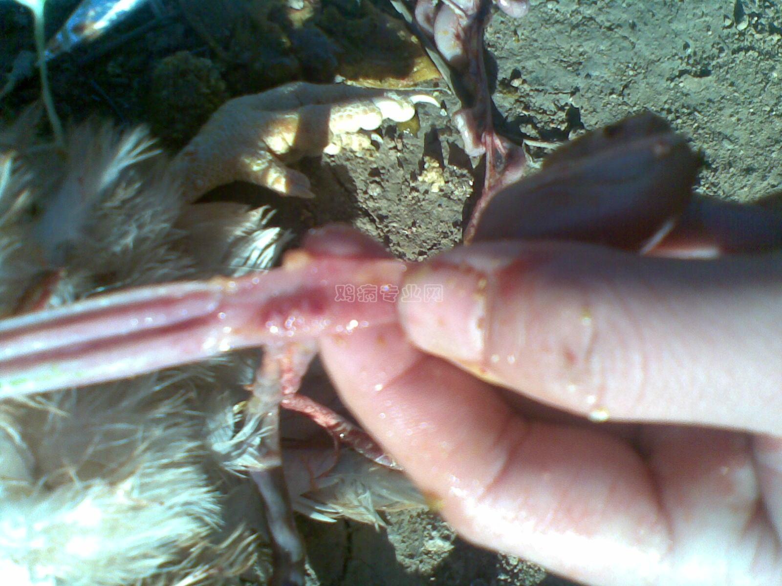 20091220_005.jpg