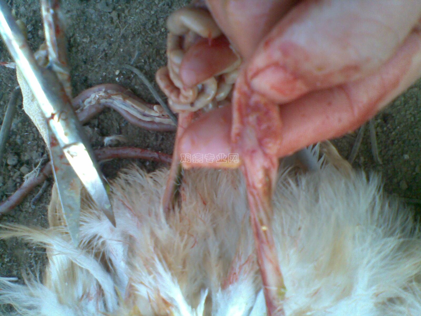 20091220_009.jpg