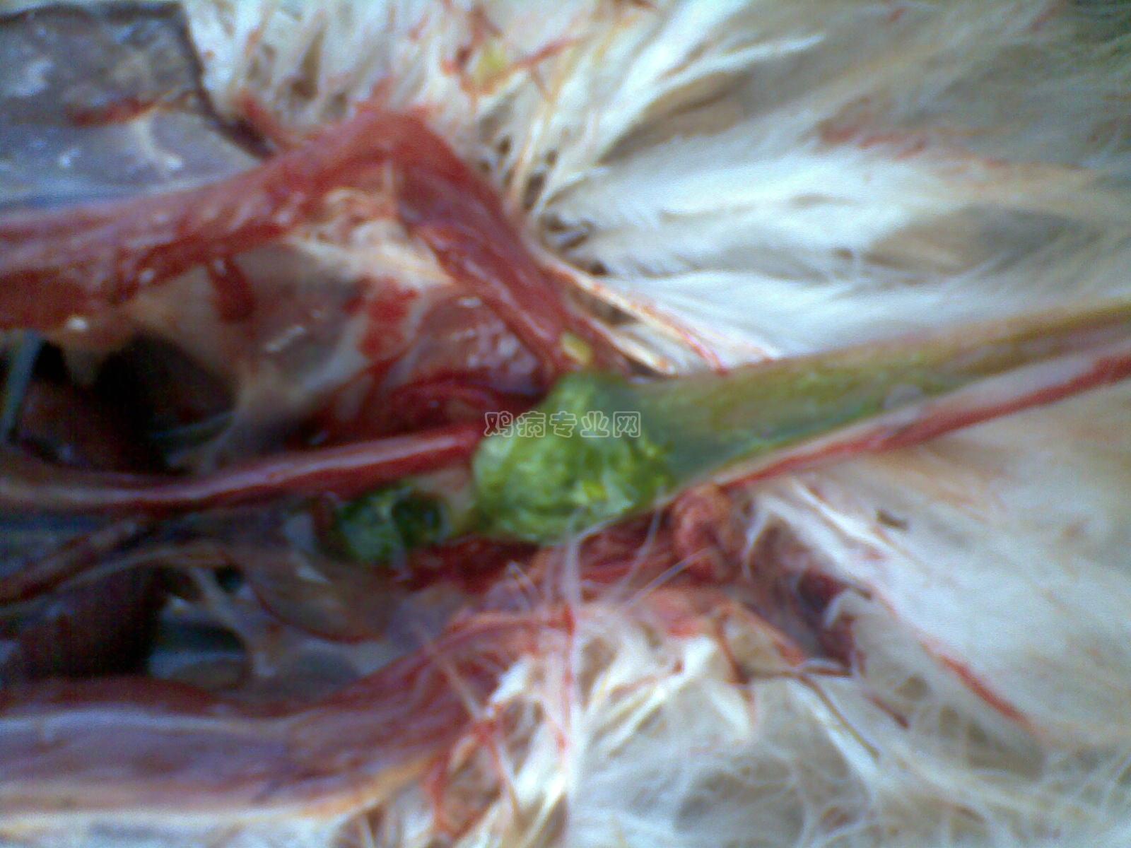 20091220_007.jpg