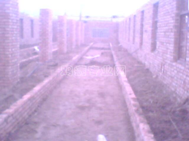 IMG0402A.jpg