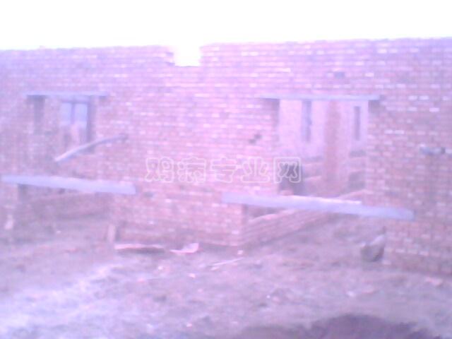 IMG0401A.jpg
