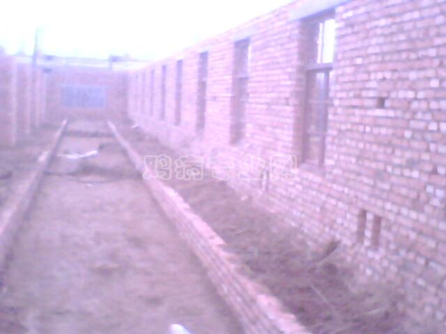 IMG0403A.jpg