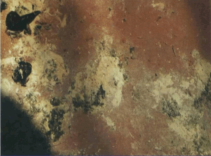1.gif