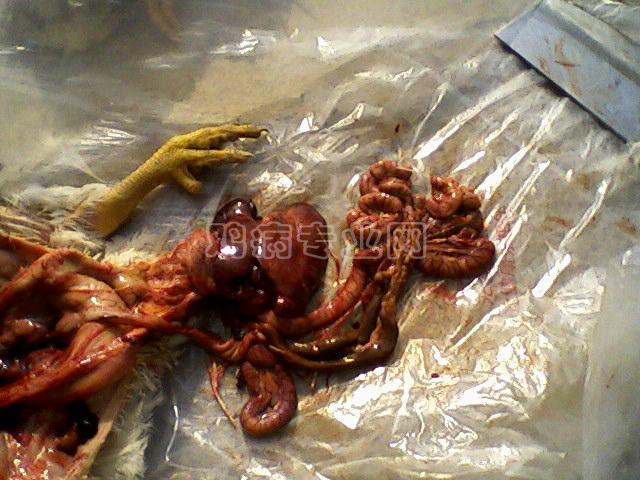 Ƭ-0042.jpg