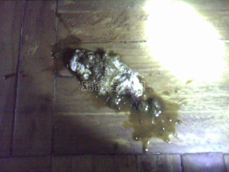 IMG0210A.jpg