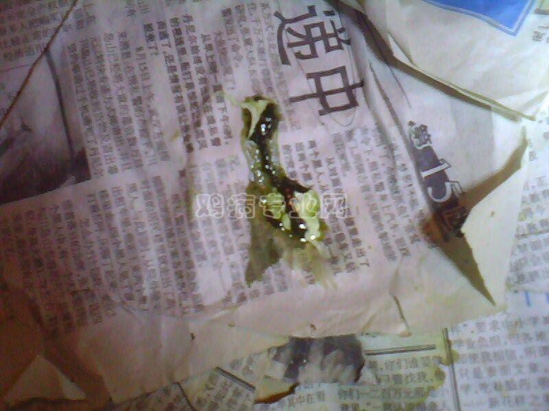 IMG0204A.jpg