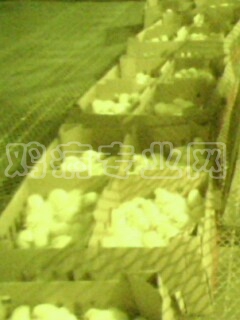 IMG0013A.jpg