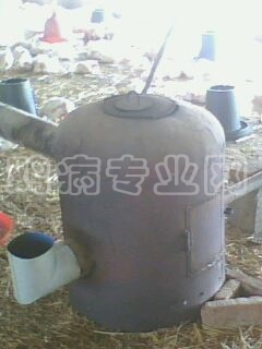 IMG0247A.jpg