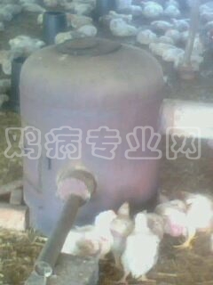 IMG0243A.jpg