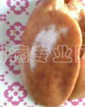 IMG0040A.jpg