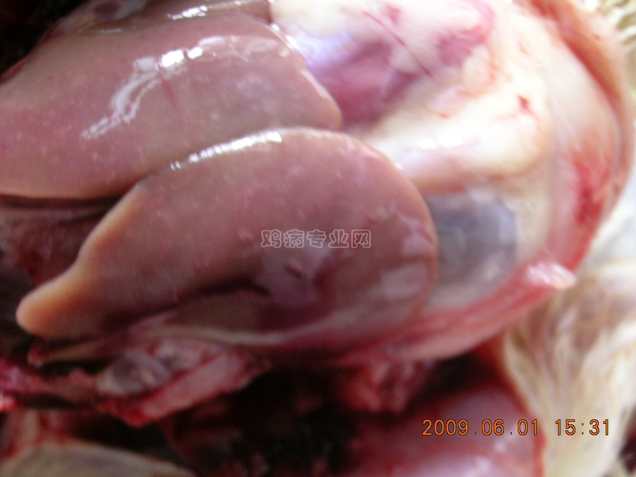DSCN4596.JPG