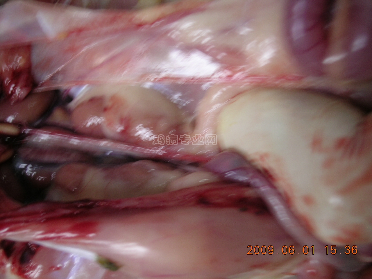 DSCN4607.JPG