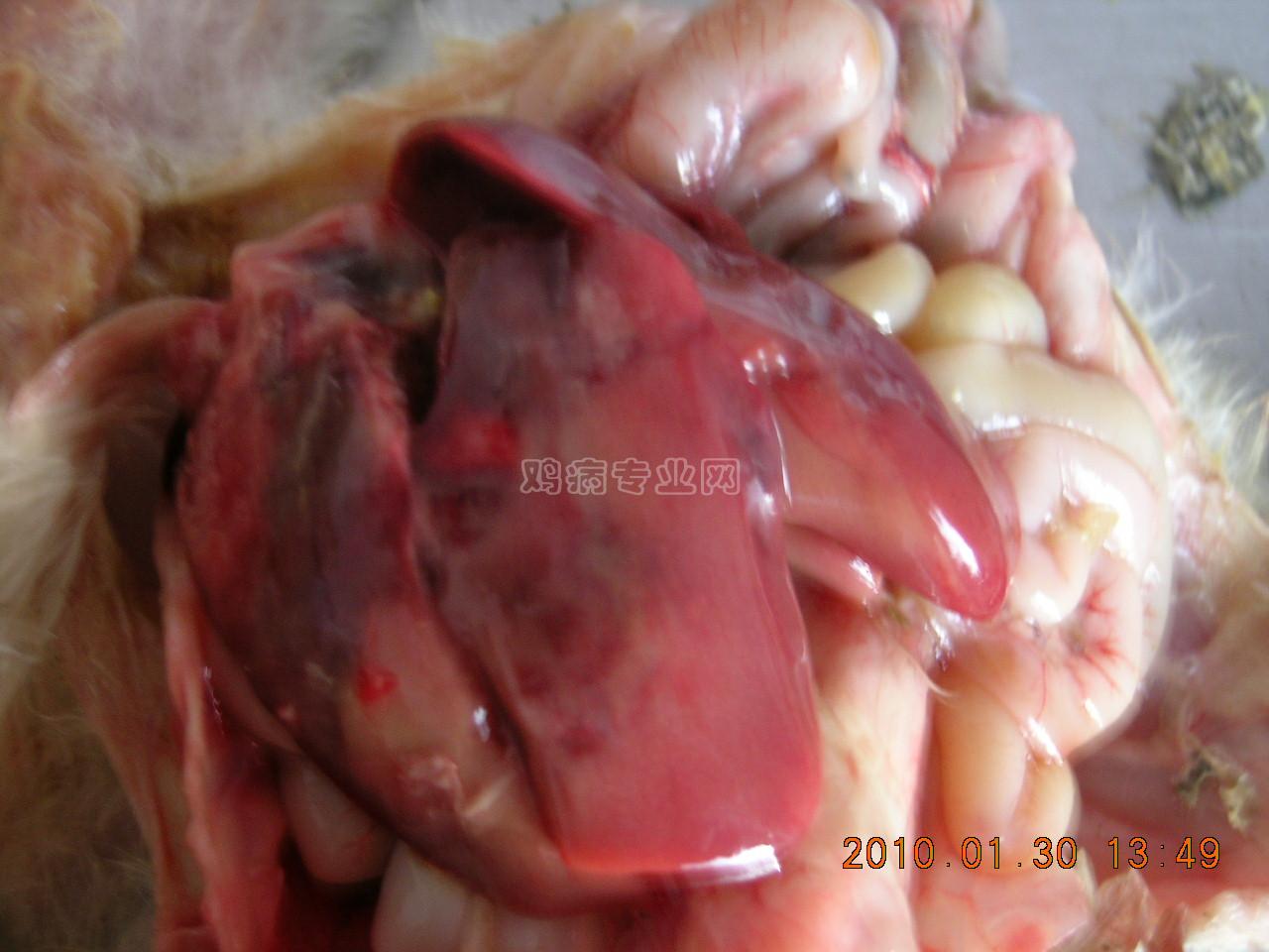 DSCN5787.JPG