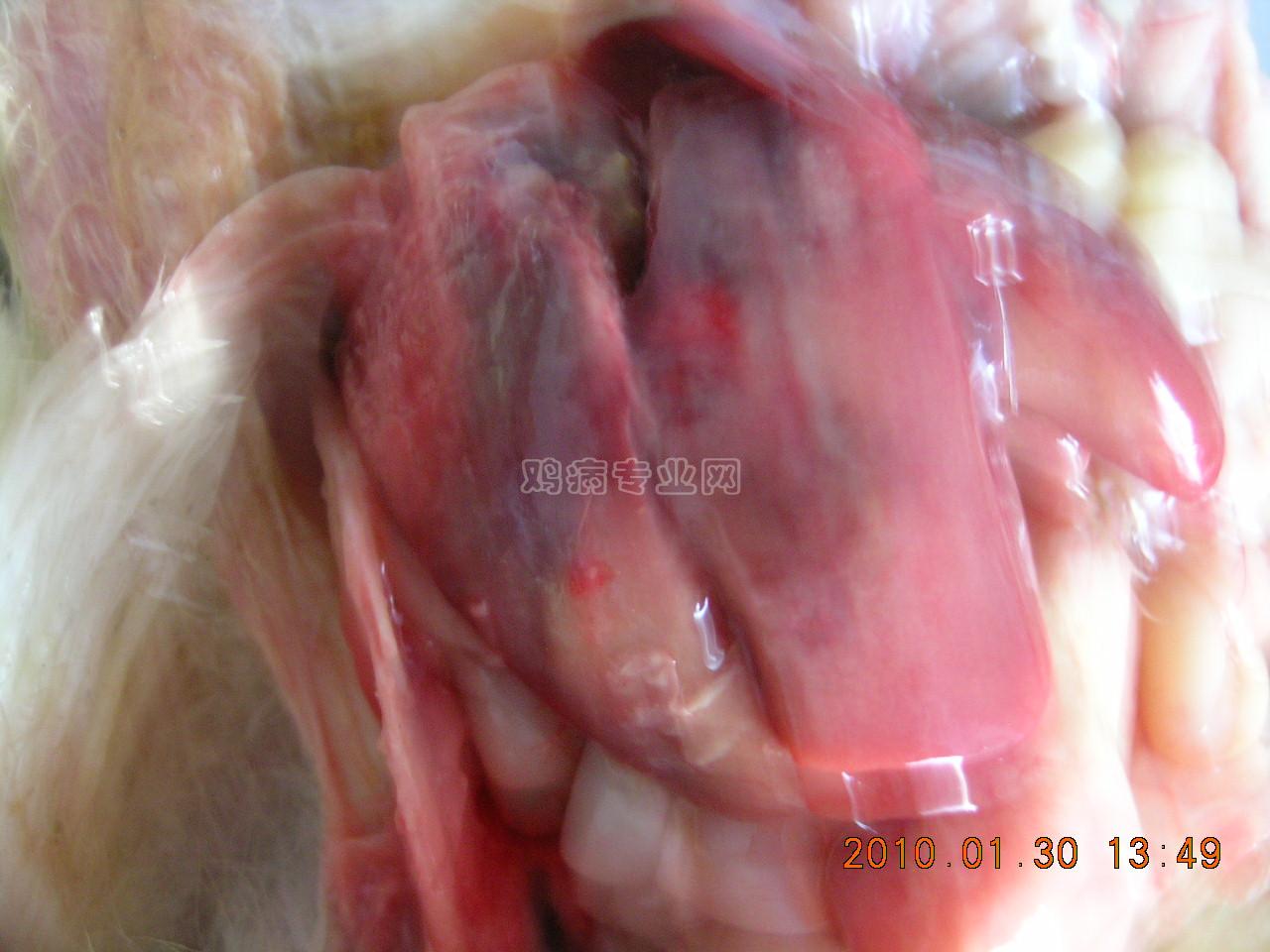 DSCN5786.JPG