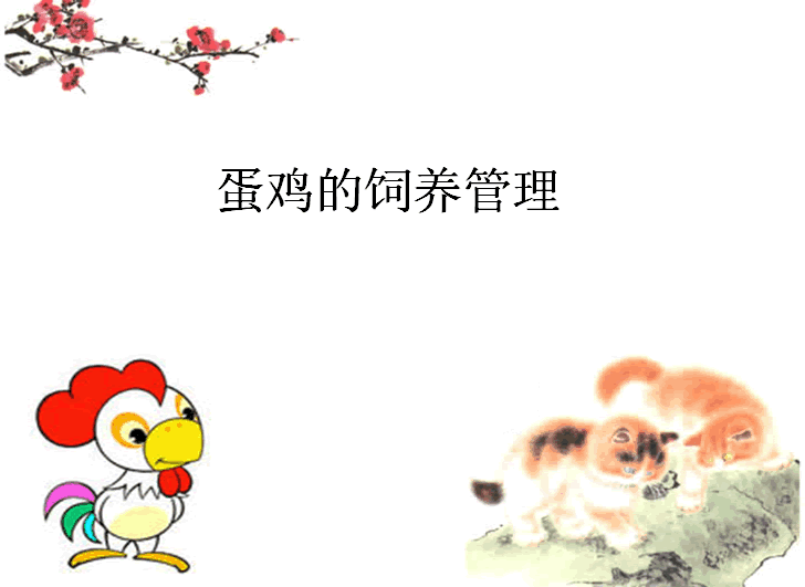 11.gif