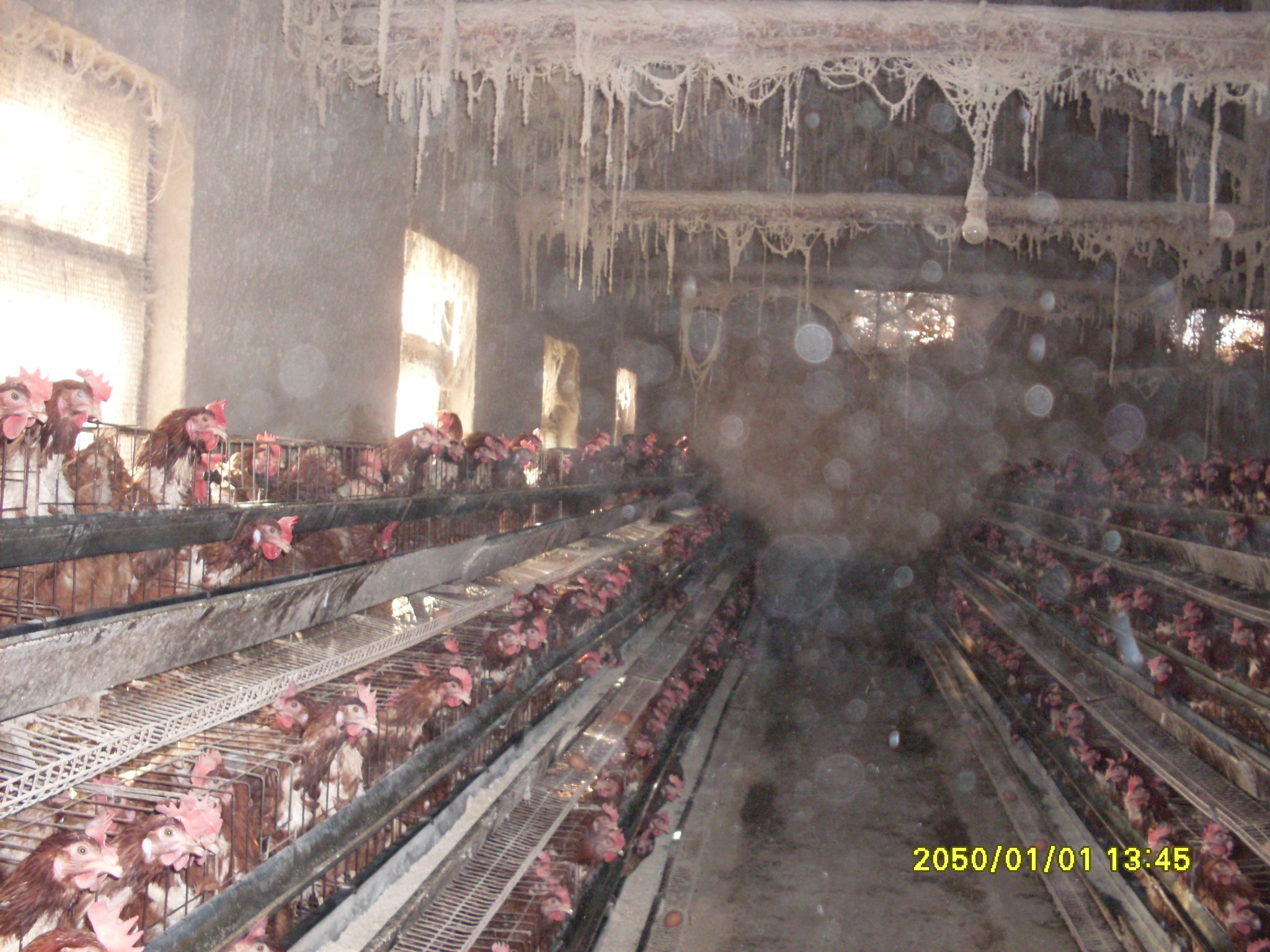 SDC10174.JPG