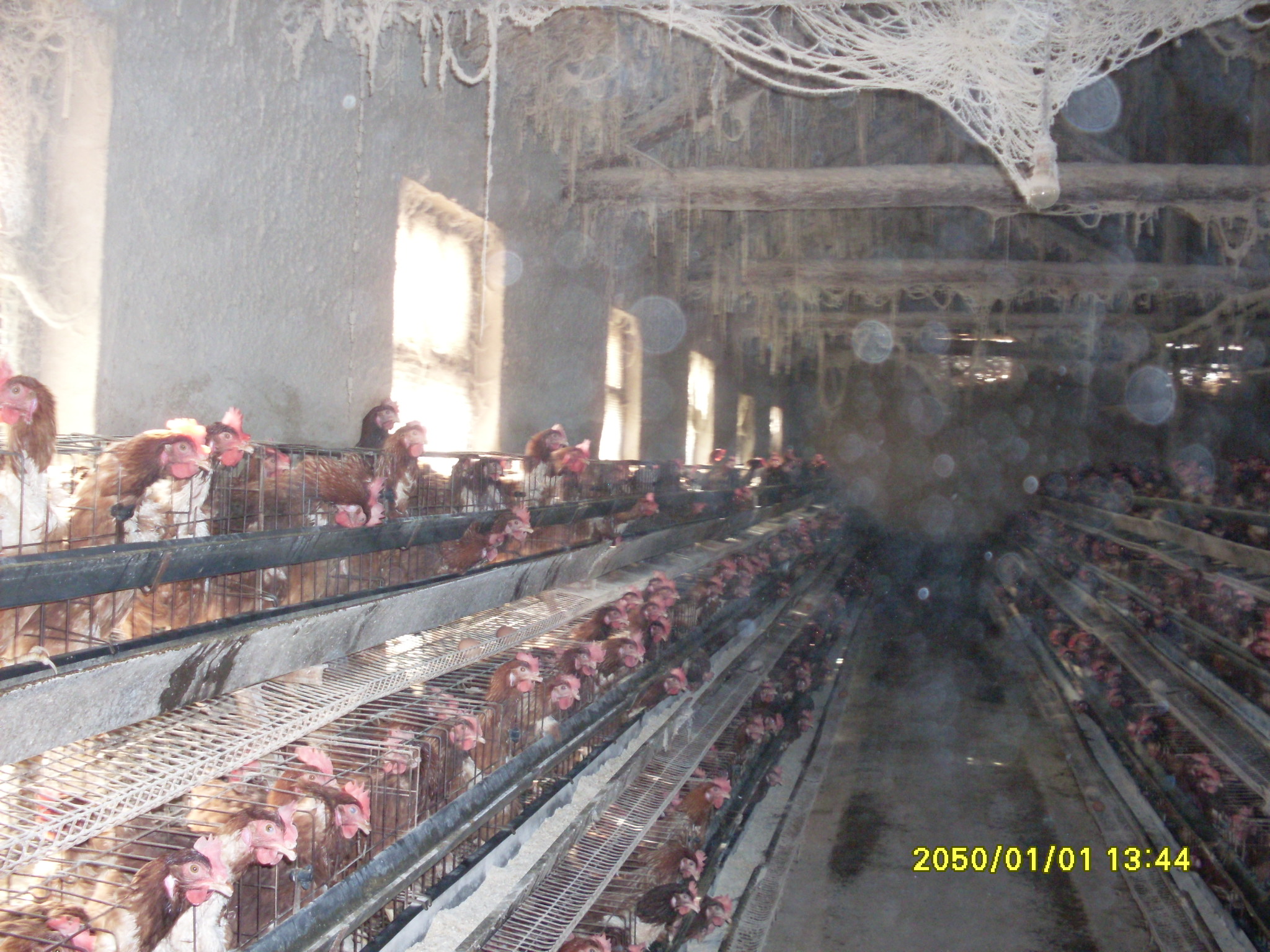 SDC10171.JPG