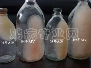 AIV.jpg