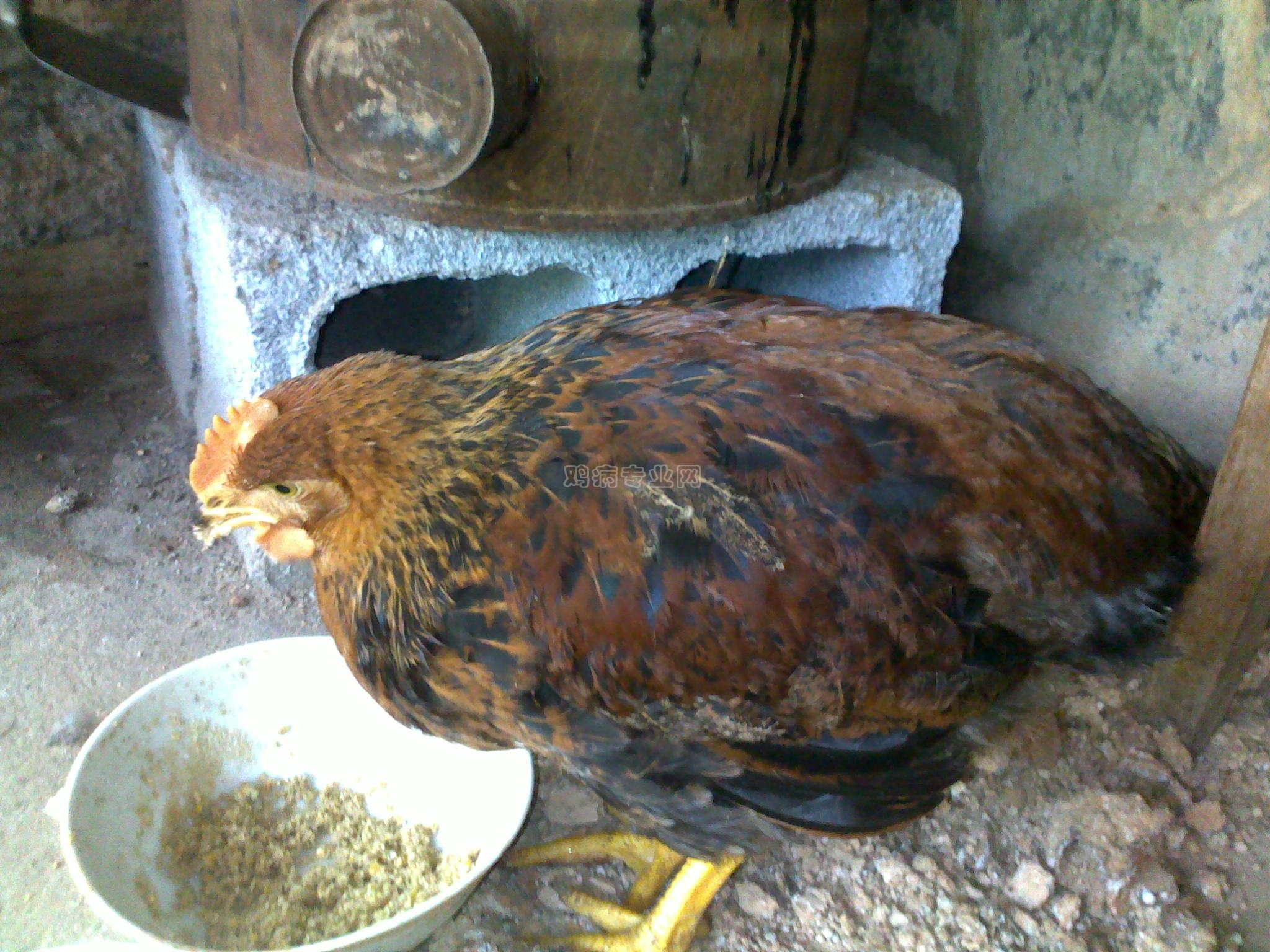 20100318104.jpg