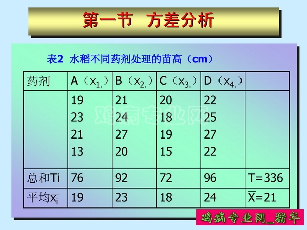 1_ҳ_010.JPG